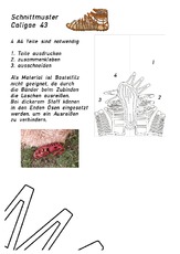 Caligae_Schnittmuster_43_Links.pdf